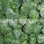 iqf spinach balls