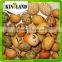bulk coated peanuts for sale