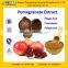 GMP Manufacturer Supply Natural Pomegranate Extract with Punicalagin