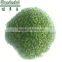2015 new Organic ulva powder for sale,green seaweed for feed in China