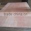 Packing Grade Laminated 18mm Eucalyptus Plywood