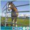 Used corral panels las vegas nv portable fences for pasture
