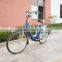 CE 250W 36V12A cheap lead acid Electric Bicycle/scooter