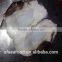 Good Quality Seafood Frozen Giant Squid Neck