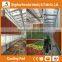 Heracles hot sale 5090 evaporative cooling pad for poultry farm and green house