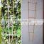 Bamboo poles flower trellis for garden support