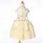 2016 New Arrival Baby Clothes Children Clothes Girls Dress Girls Party Dresses