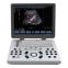 Portable Color Doppler Ultrasound Scanner Bene-3s