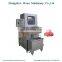 Brine injection machine meat injector