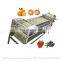 Cherry Tomato Grader Olive Grading Fruit Washing And Sorting Machine