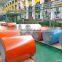 DX51D  Color Coated Galvanized Steel Coil Cold Rollrd