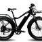 Lithium Bike Electric Bike Mountain Bike TDE26M013