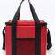 20L/30L/45L insulated cooler bag Customized backpack food delivery packaging bag