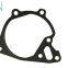 Auto pump gaskets
