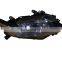 Aftermarket HID xenon headlamp headlight with adaptive function for LEXUS RX RX300 RX330 RX350 head lamp head light 2008-2011