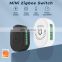 16A 10A Mini Tuya ZigBee Wireless Wall Switch Module Double Relay Voice Control Wifi 2 Way Smart Home