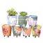 Korean hand color desktop small fresh ceramic flower pot