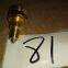 AZ2209280003 Pressure switch
