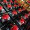 13hp floating pumps fire truck water supply pumps