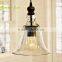 Clear Glass Shape Hanging Edison Bulb Vintage Pendant Light