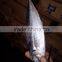 2015 frozen horse mackerel wr 100-200g seafrozen