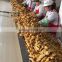 new crops Chinese fresh ginger from professional factory