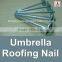 china 1 Lb. Electro Galvanized Umbrella Roofing Nail