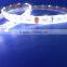 Good price DC12V/24V 14.4W Natural White led strip 5050 / smd 5050 led strip light 60leds/meter