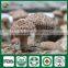 China Supplier of Organic Cap Stem Whole Part Fresh Dry Supplier Edibal Mushroom Lentinula Edodes