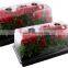 Seed Starter Kit Humidity Dome Hydroponic Heat Mat Seed Germination Box