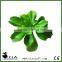 Green Echeveria Artifical Succulents Plant for Rosette Decor