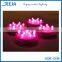 RGB Remote Control Compatible LED Lights