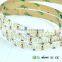 IP65 DC12V/24V 240LEDs/m 3014 led strip with CE & RoHS