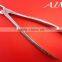Dental Extracting Forceps | Extraction Forceps Set