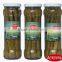 Canned Green Asparagus Spears