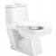 Sanitary Wares Single Piece Set Exporters