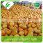 China original fresh honey pomelo
