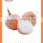 Export Best quality fresh red yellow white onion