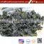 Wakame Seaweeds