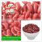 supply good price red kidney beans in cans for you