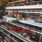 TAIYU Chicken Cages for Kenya Hen Farm (Local Agent, Whole Year Stock, Visit Customers Every Year)