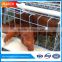 big sale beautiful reduce aggression 3 tiers galvanized poultry cage