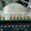 Dental Clinic Hospital 17L Class B OEM Autoclave Steam Sterilizer