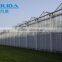 BaoLiDa high quality PC covered greenhouse hot-dip galvanized steel framework structure greenhouse