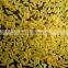 Top quality automatic nutritional puffed rice making machine