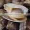 seafood frozen canned baby clam