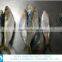 for market fresh fish frozen sardine 120-150g