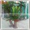 guangzhou supplier wholesale artificial cycas revoluta tree bonsai fake cycas revoluta