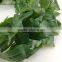 Artificial Fake Faux Ivy Vine Plant Garland Wedding Party Decor New