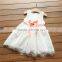 Wholesale Lace Girl Banquet Dress Sleeveless Fashionable Party Girl Dress